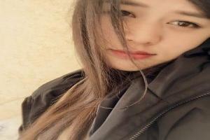 怎么画动物