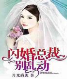 闪婚总裁太霸道封以漠简梨诺